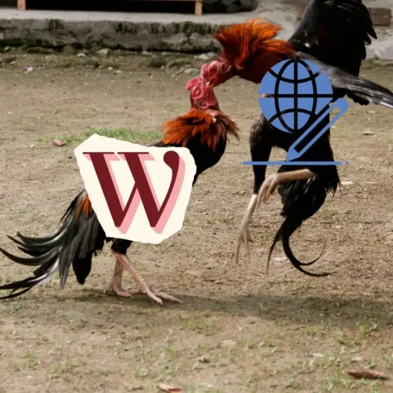 WordPress vs Website Siap Pakai — Mana yang Tepat untuk Bisnis Jasa Anda?