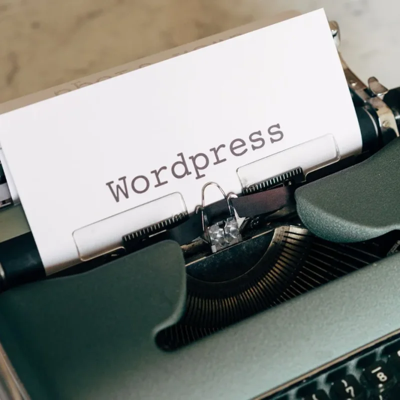 Jasa Website WordPress vs Custom: Mana yang Tepat untuk Bisnis Anda?