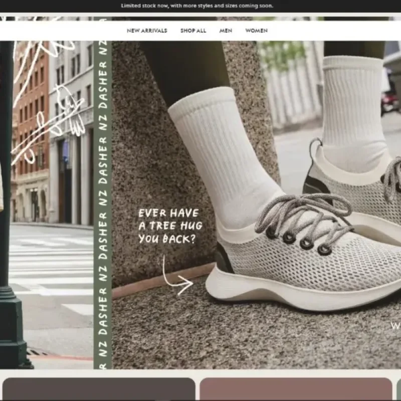 Allbirds: Sepatu Startup yang Tolak Amazon dan Raup $100 Juta